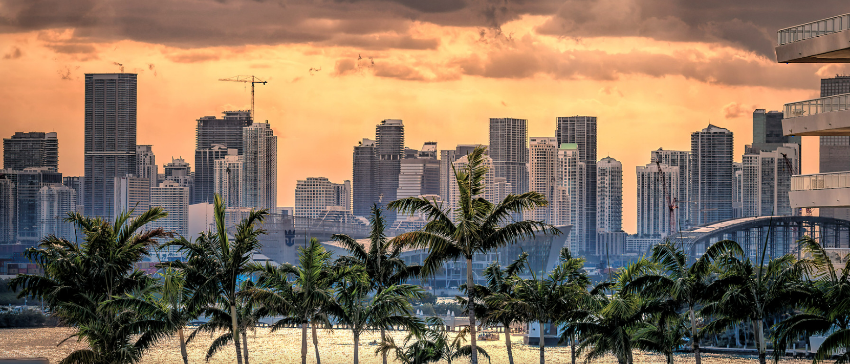 Miami, FL (IAUMIA)